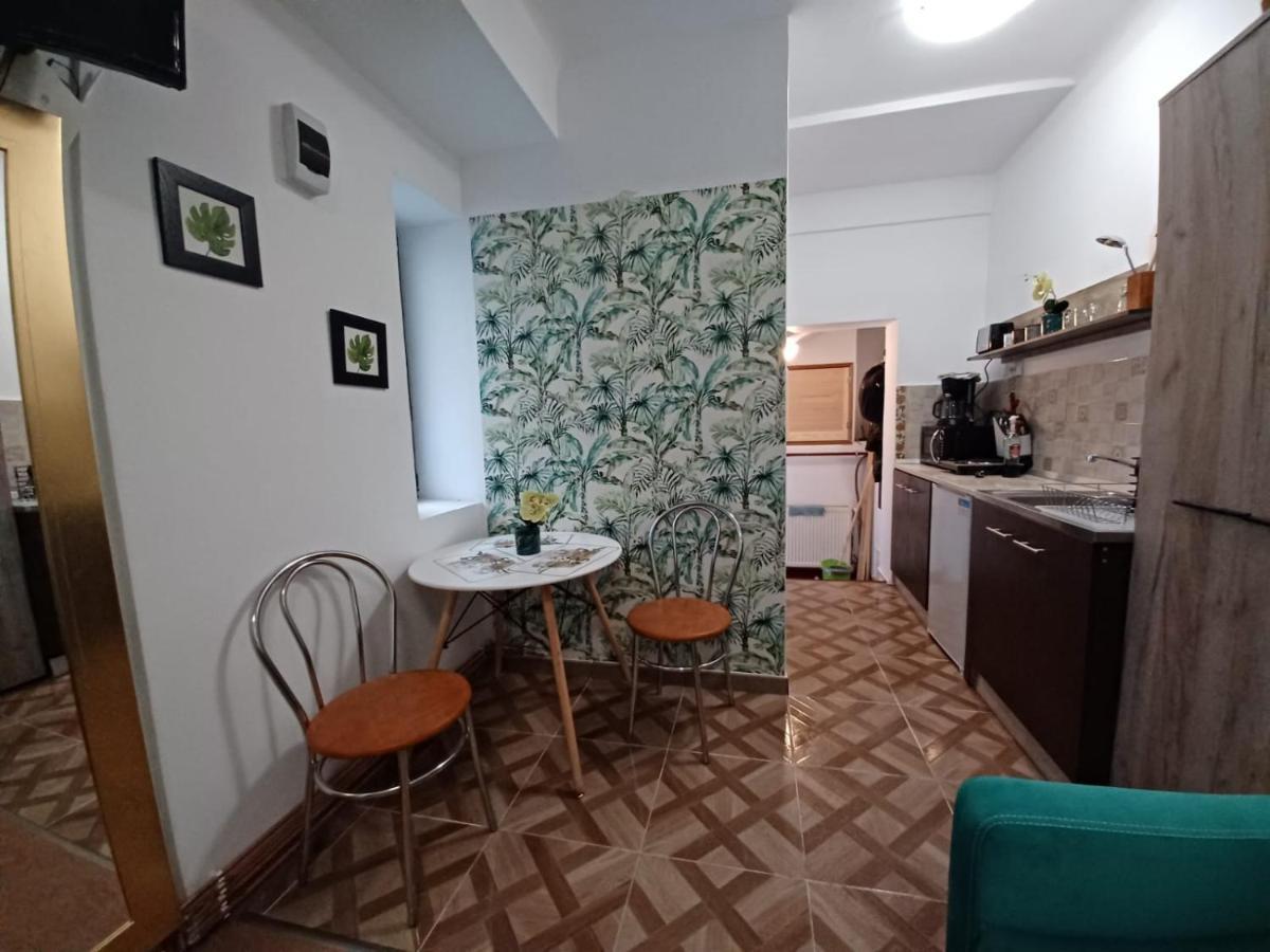 דירות בראשוב Studio Republicii מראה חיצוני תמונה